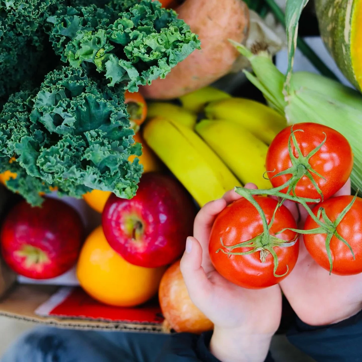 Fresh tomatoes, kale, apples and other fruit and vegetables